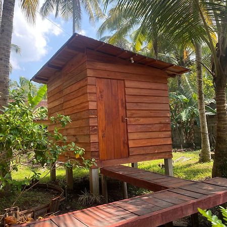 Coco Cabins By Thush Bentota Extérieur photo