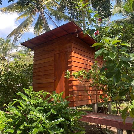 Coco Cabins By Thush Bentota Extérieur photo