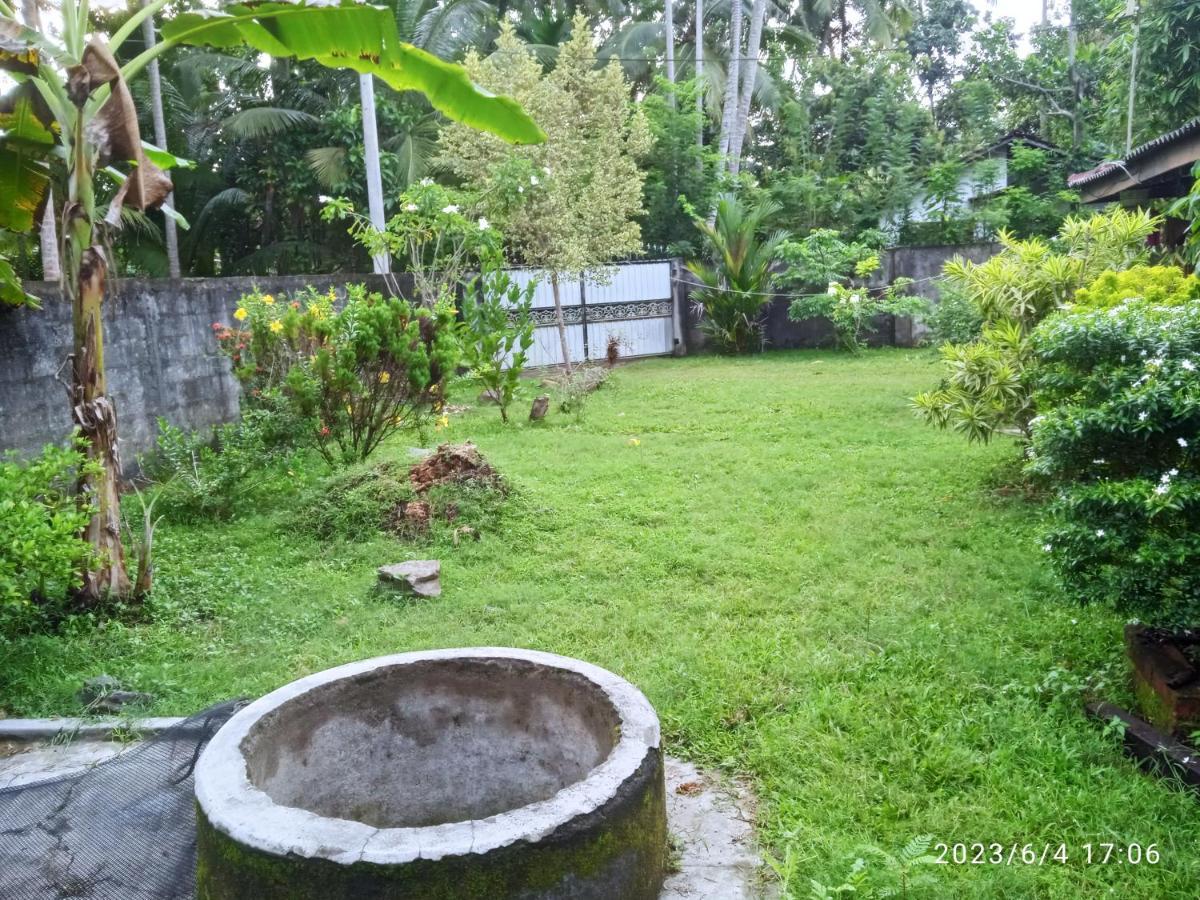 Coco Cabins By Thush Bentota Extérieur photo