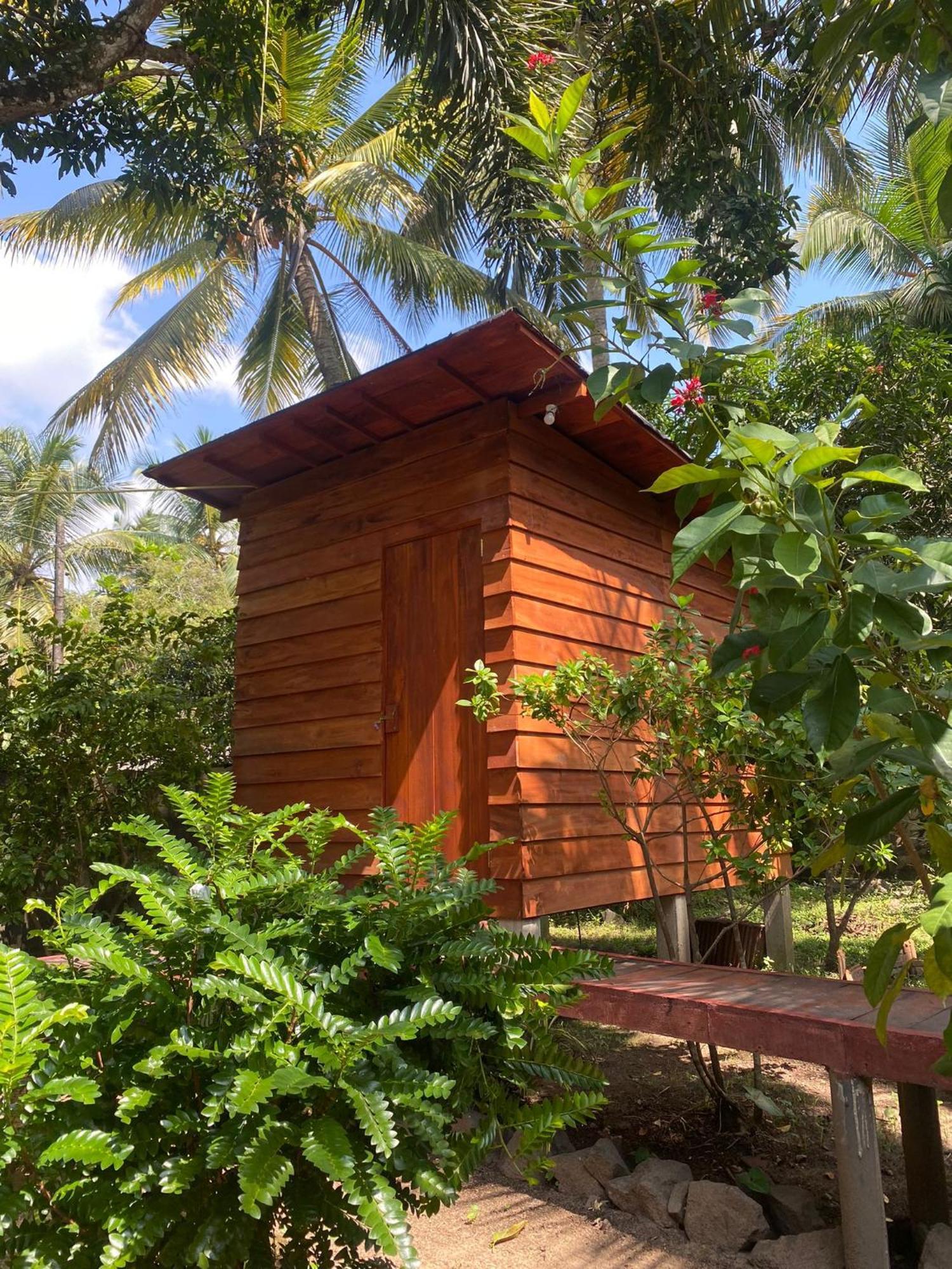 Coco Cabins By Thush Bentota Extérieur photo