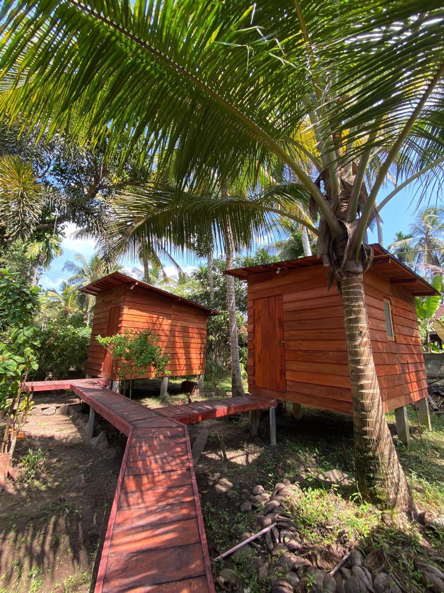 Coco Cabins By Thush Bentota Extérieur photo
